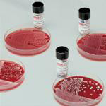 BactiDisks