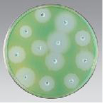 Susceptibility Disks