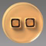 Slide Culture Plate