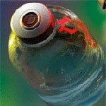 Cold Filt Bottle