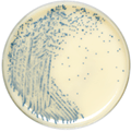 Spectra MRSA